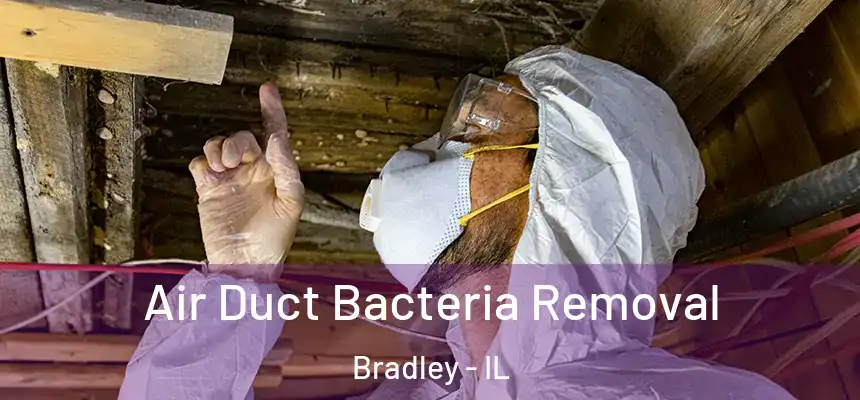  Air Duct Bacteria Removal Bradley - IL
