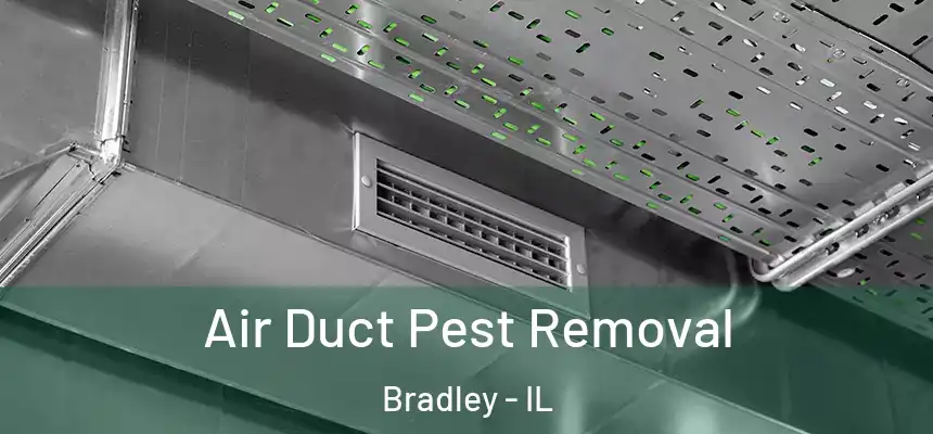  Air Duct Pest Removal Bradley - IL