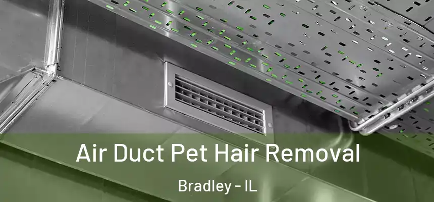  Air Duct Pet Hair Removal Bradley - IL