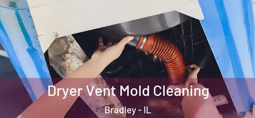  Dryer Vent Mold Cleaning Bradley - IL