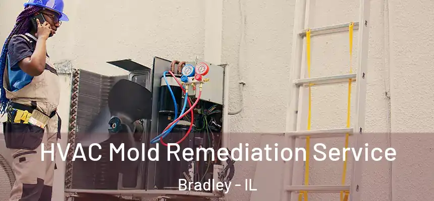  HVAC Mold Remediation Service Bradley - IL