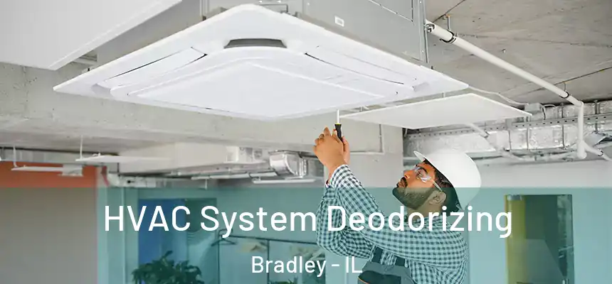  HVAC System Deodorizing Bradley - IL