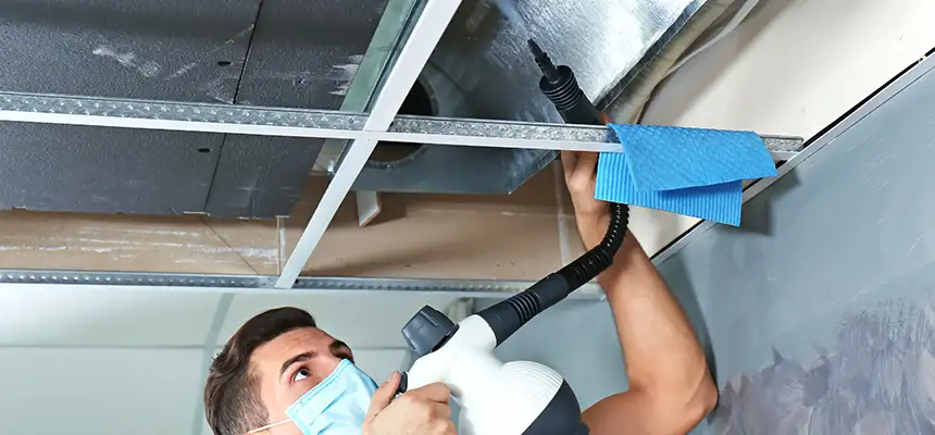 Our Air Duct Rodent Removal Services in Bradley, IL