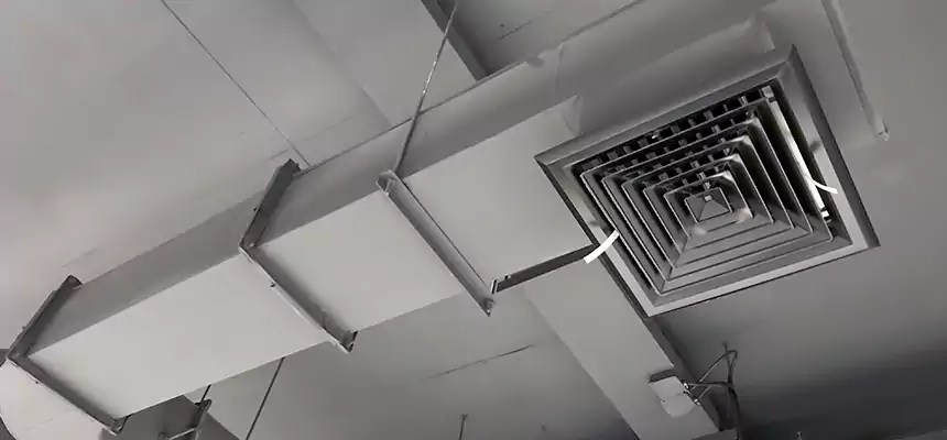 Our Pest Removal From Ducts Services in Bradley, IL