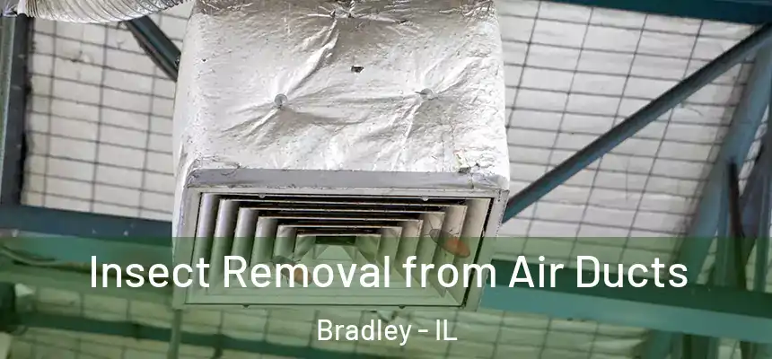  Insect Removal from Air Ducts Bradley - IL