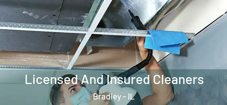  Licensed And Insured Cleaners Bradley - IL
