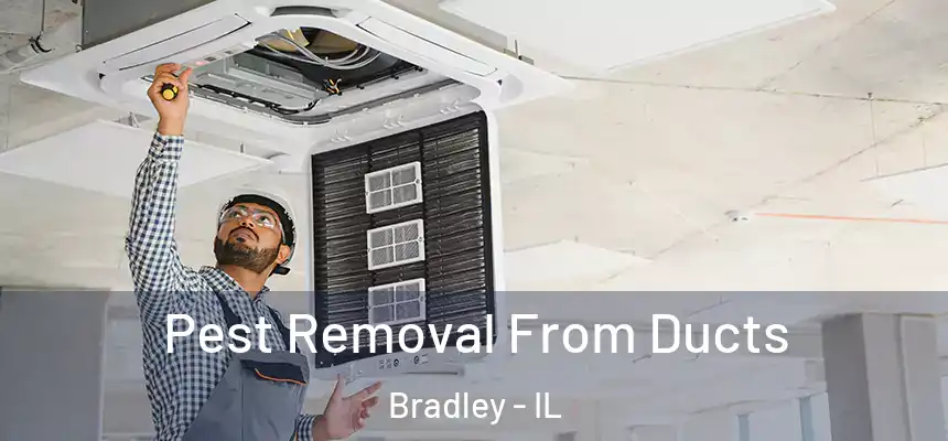 Pest Removal From Ducts Bradley - IL