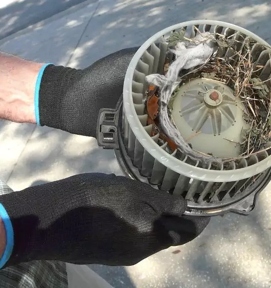 About Air Duct Rat Removal in Bradley, IL