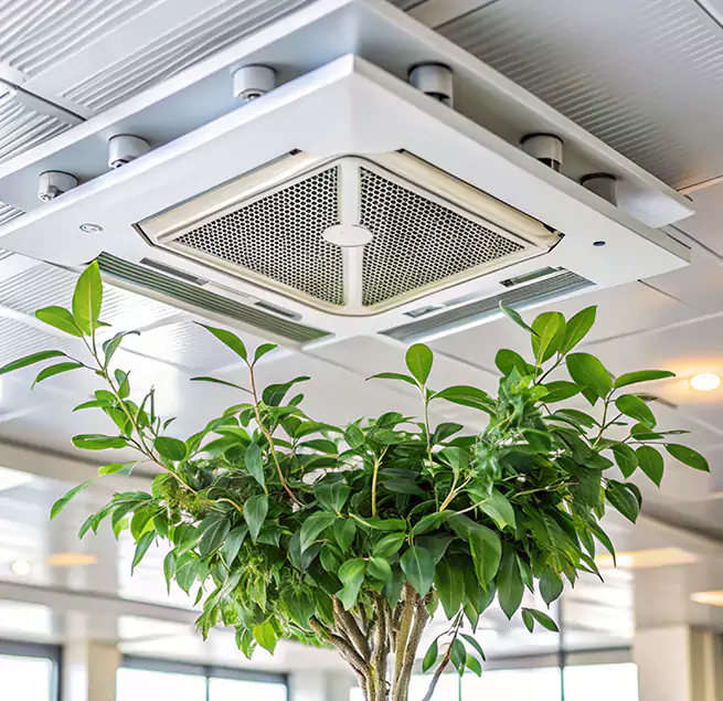 Why Homeowners & Businesses Trust Us in Bradley, IL