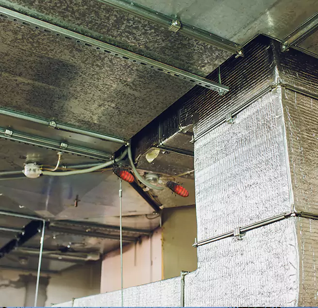 Why Homeowners & Businesses Trust Us Bradley, IL?